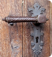 Consultation & Training