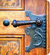 Therapy Specialities